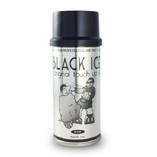 Black Ice Original Touch Up Color Spray